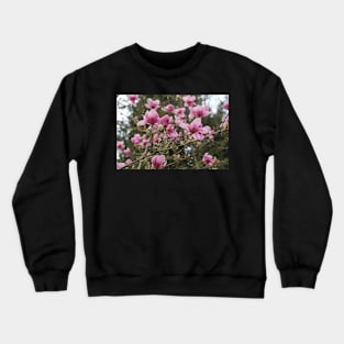 Perfect Pink Crewneck Sweatshirt